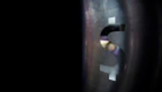 ترامب يغرد من أجل الدولار.. ويتهم المركزي الأمريكي مجددا