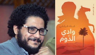 الروائي المصري علاء فرغلي