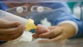 ولادة توأمين من فصيلة الباندا العملاقة في بلجيكا