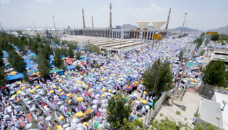 عدد المستفيدين من الترجمة بلغ حوالي 2.5 مليون مصل