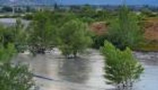 فقدان رجل وطفلة بعد عاصفة قوية في سويسرا