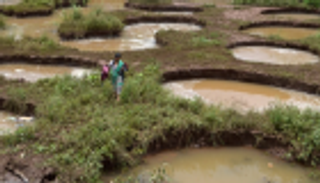 ارتفاع عدد ضحايا الفيضانات بالهند إلى 147.. والآثار مهددة