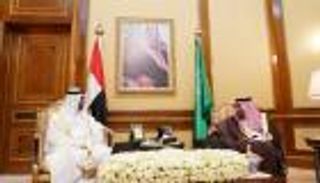 الملك سلمان ومحمد بن زايد يبحثان الأوضاع بالمنطقة واليمن