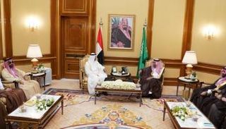 جانب من لقاء الشيخ محمد بن زايد آل نهيان والعاهل السعودي