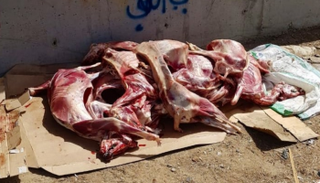 لحوم فاسدة - أرشيفية