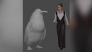 بطريق بحجم الإنسان.. عمره 66 مليون عام