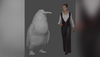 البطريق الضخم يزن نحو 80 كيلوجراما