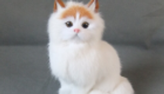 قطة آلية في مستشفى ألماني.. علاج وتدليل للمرضى