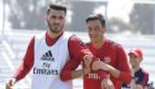 نجوم الدوري الإنجليزي يستنجدون بالكلاب المدربة لحمايتهم
