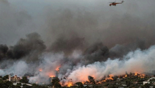 النيران تلتهم غابات اليونان