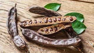 الخروب يتمتع بكثير من الفوائد للصحة