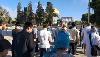 اقتحامات المستوطنين المسجد الأقصى