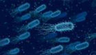 46 مليون جين بكتيري في الفم والأحشاء