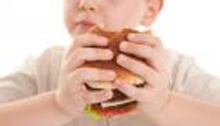 الأطعمة الدهنية تقتل الإحساس بالشبع