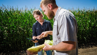 تقنيات الذكاء الاصطناعي لحماية المحاصيل - أرشيف