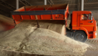 القمح الروماني محظور استيراده في الجزائر