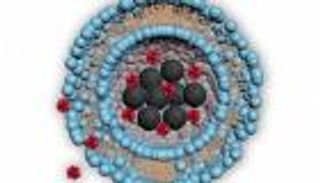 توصيل الأدوية للجسم بدقة عبر "الجسيمات الشحمية"