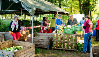 العائلات تجمع منتجات المزرعة