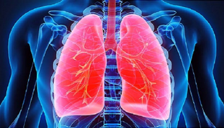 زراعة خلايا الرئة قد تصبح علاجا مستقبليا لأضرار الإنفلونزا الشديدة 