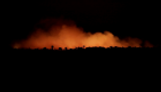 فنلندا: حرائق غابات الأمازون تهدد الكوكب