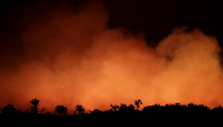 الحرائق تستعر في غابات الأمازون