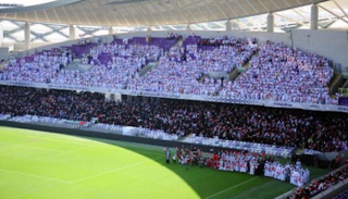 جماهير نادي العين