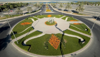 المزروعات تغطي مساحات شاسعة من دبي