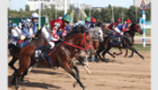 الجواد "أفونموث" يتوج بطلا لكأس رئيس دولة الإمارات للخيول العربية