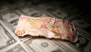 لليوم الثاني.. الليرة التركية تواصل السقوط الحر أمام الدولار