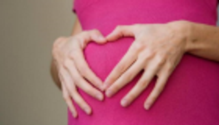 الفئران تنصف الدهون.. والحوامل