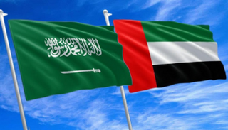 فريق عمل مشترك بين الإمارات والسعودية لتطوير مشاريع الإسكان