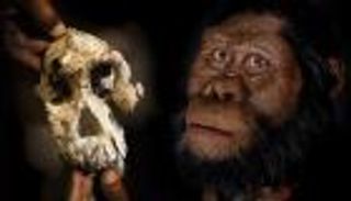 جمجمة بشرية مكتملة عمرها 4 ملايين عام