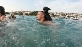 12 كلباً شاركت في السباق