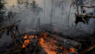 البرازيل تحظر حرق الزراعات في موسم الجفاف