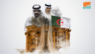 قطر راعية الإرهاب تتآمر ضد الجزائر