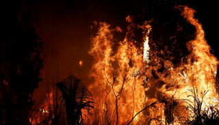 حرائق غابات الأمازون انحسرت بشكل طفيف