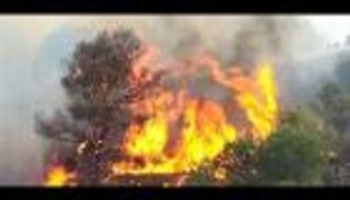 3859 حريقا في غابات الأمازون خلال يومين