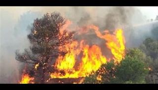 الحرائق ما زالت مستعرة في البرازيل