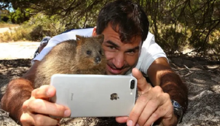 سيلفي الحيوانات البرية يضر بها 