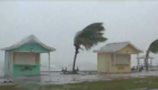 متضررو دوريان يحصلون على وجبات مجانية.. مبادرة فردية من مالك مطعم