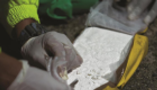 إحباط تهريب طن من الكوكايين لـ"القاعدة" في غينيا بيساو