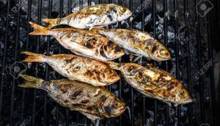 "سمك مشوي" في محاكم أستراليا - أرشيفية