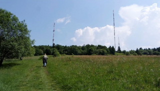 مقتل ثلاثة في سقوط منصة صيانة بأحد أبراج البث في ألمانيا