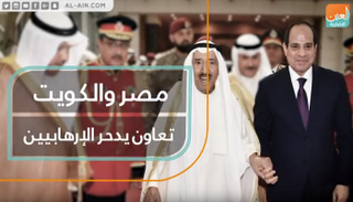 مصر والكويت.. تعاون يدحر الإرهابيين