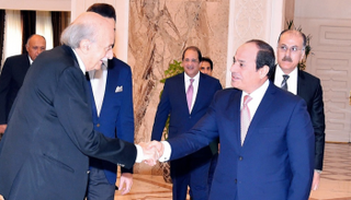 الرئيس المصري عبدالفتاح السيسي يلتقي وليد جنبلاط