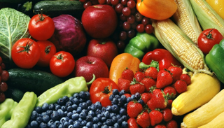 ارتفاع صادرات مصر الزراعية لأكثر من 4.7 مليون طن