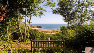 الكرسي المطروح للبيع في المزاد