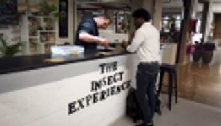 وجبات الحشرات تصل مطاعم جنوب أفريقيا