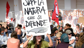 نحو 300 محتج جلسوا على السجادة الحمراء لمهرجان البندقية