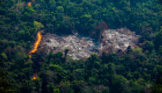 قطع أشجار الأمازون يتضاعف.. وحرائق جديدة قريبا